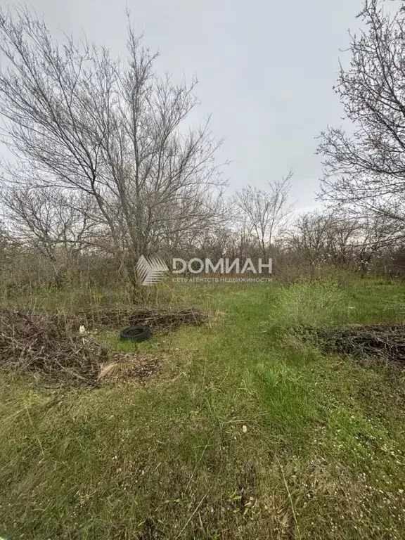 Участок в Ростовская область, Октябрьский район, пос. Персиановский, ... - Фото 1