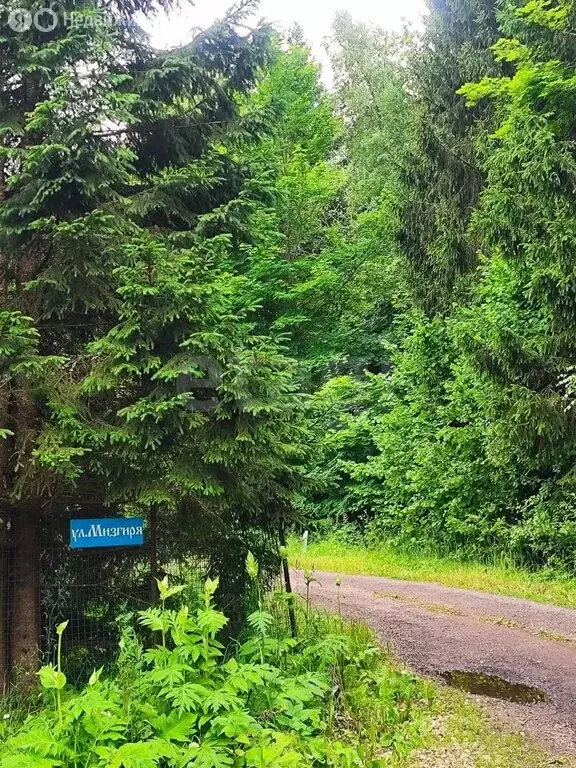 Участок в Москва, ТАО, район Бекасово, СНТ Берендеи, Южная улица (6 м) - Фото 1