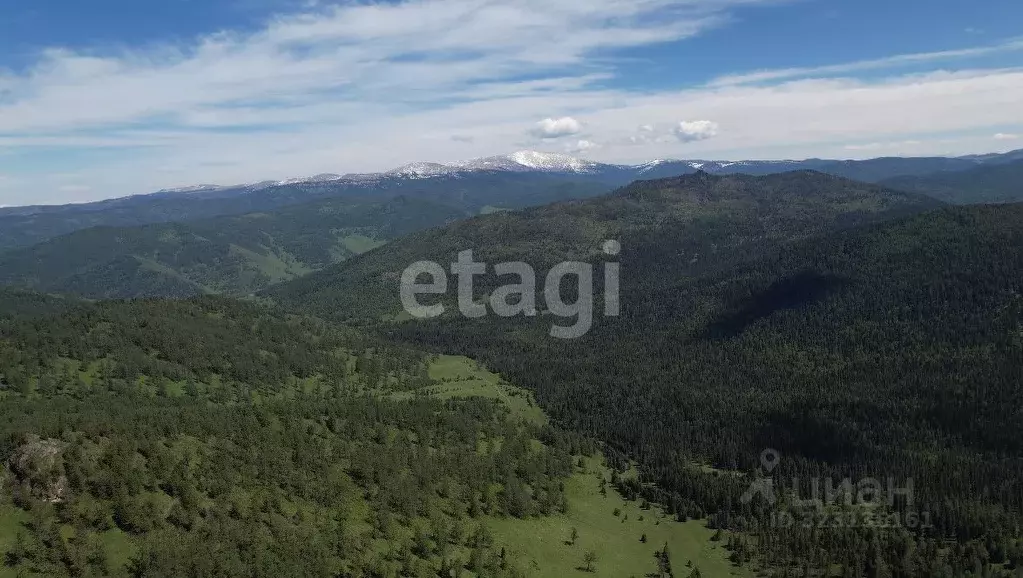 Участок в Алтай, Шебалинский район, с. Дъектиек ул. Центральная ... - Фото 1