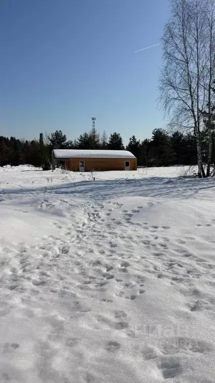 Участок в Московская область, Пушкинский городской округ, с. Левково  ... - Фото 2