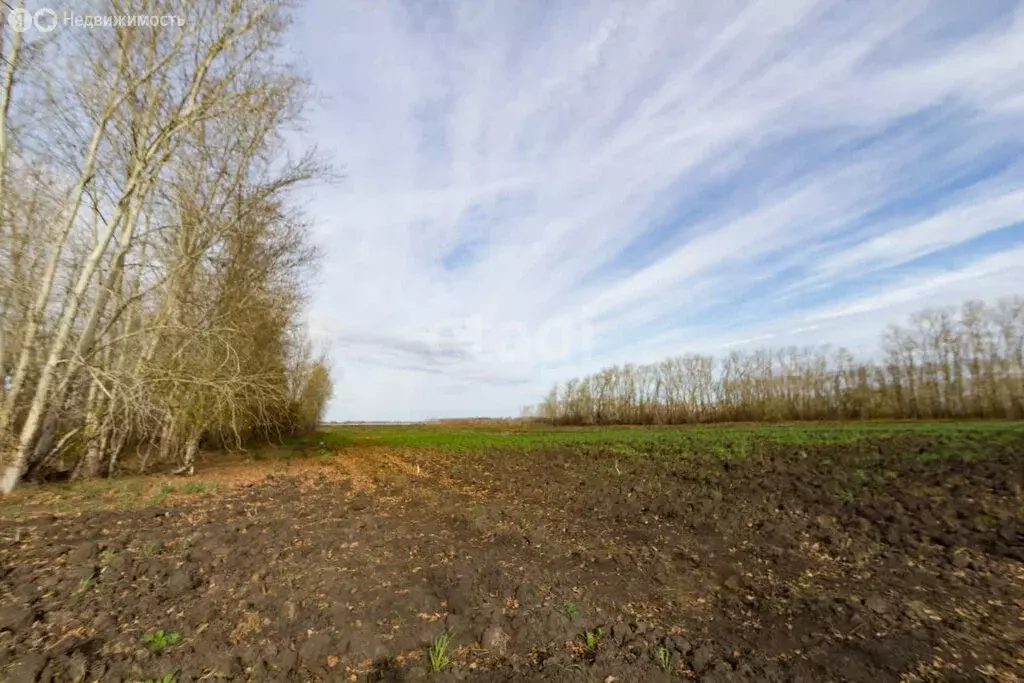 Участок в Тюменская область, Ялуторовский муниципальный округ, деревня ... - Фото 2