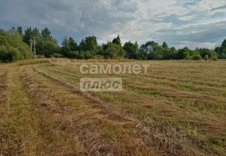 Участок в Ярославская область, Пошехонский муниципальный округ, ... - Фото 1