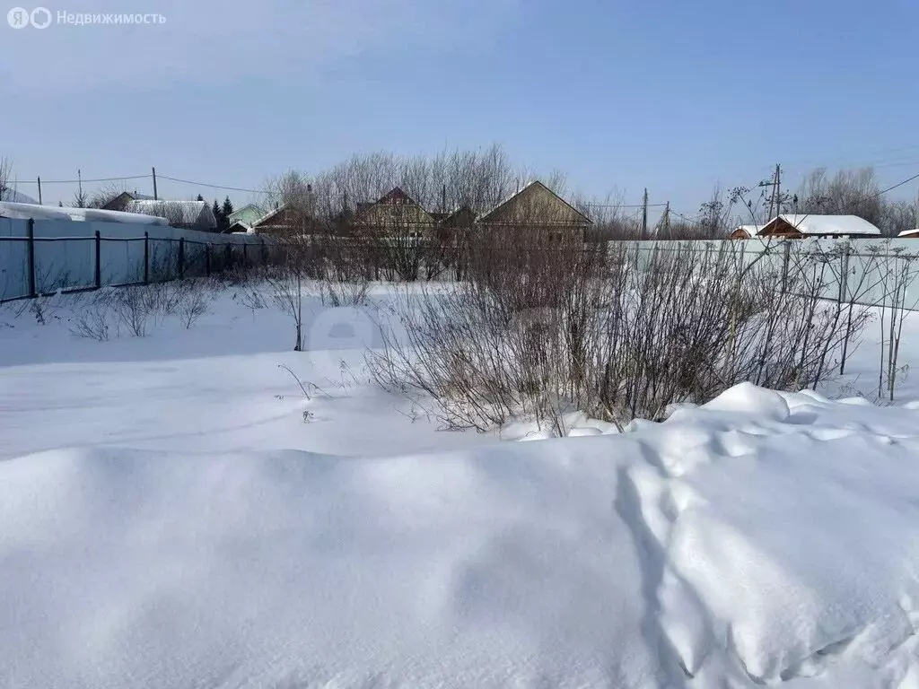 Участок в Тюмень, садовое товарищество Липовый Остров, 8-я Западная ... - Фото 2