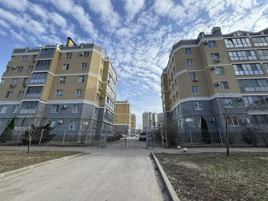 2-к кв. Волгоградская область, Волгоград Шекснинская ул., 64 (40.0 м) - Фото 2