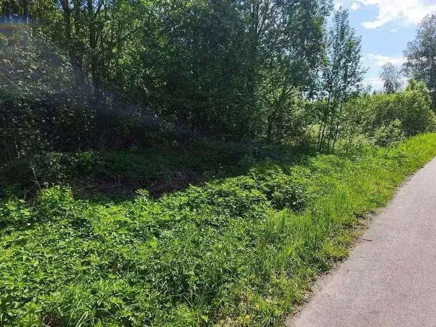 Участок в Новгородская область, Новгородский район, Савинское с/пос, ... - Фото 2