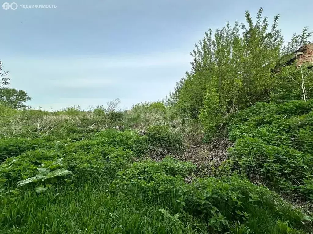 Участок в Чебаркульский округ, деревня Боровое, улица Гагарина (5 м) - Фото 1