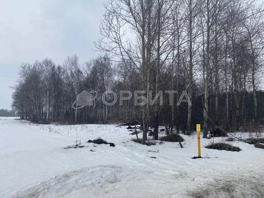 Участок в Тюменская область, Тюменский район, д. Ушакова Зеленая ул. ... - Фото 0