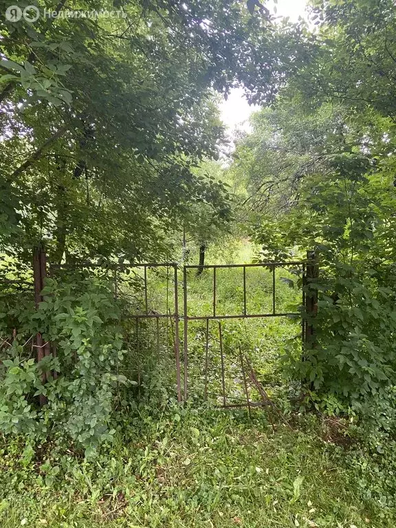 Участок в Домодедово, площадь 30-летия Победы (14.49 м) - Фото 2