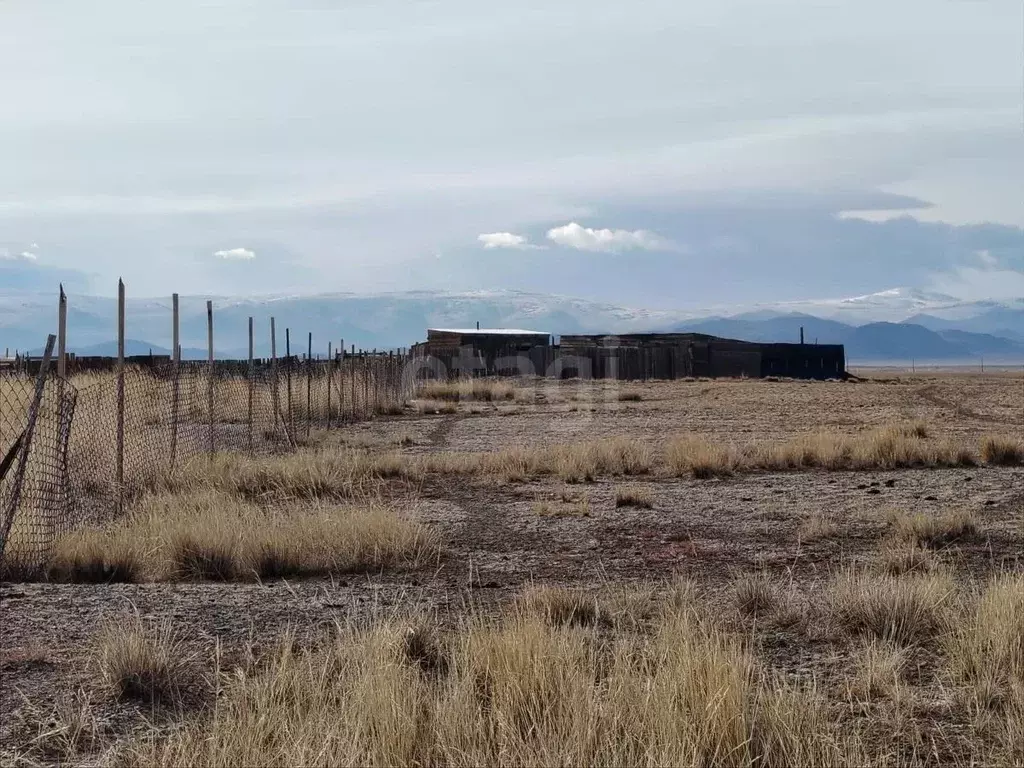 Участок в Алтай, с. Кош-Агач  (4210.0 сот.) - Фото 1