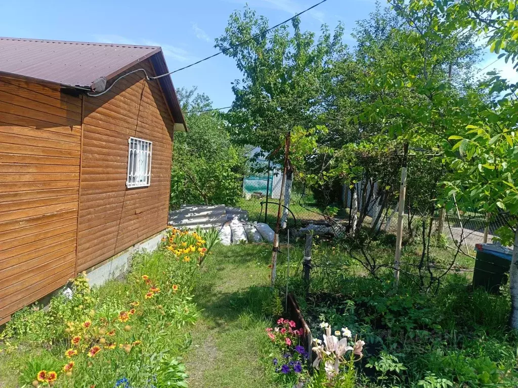 Дом в Саратовская область, пос. Красный Текстильщик, Источник СНТ  (30 ... - Фото 2