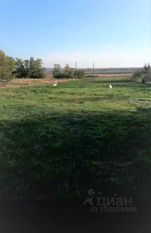 Участок в Краснодарский край, Анапа муниципальный округ, пос. ... - Фото 2