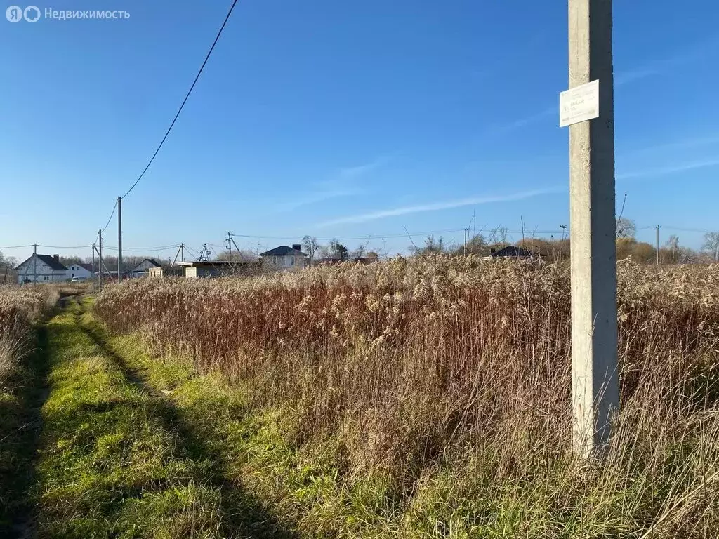 Участок в Калининградская область, Гурьевский муниципальный округ, ... - Фото 2