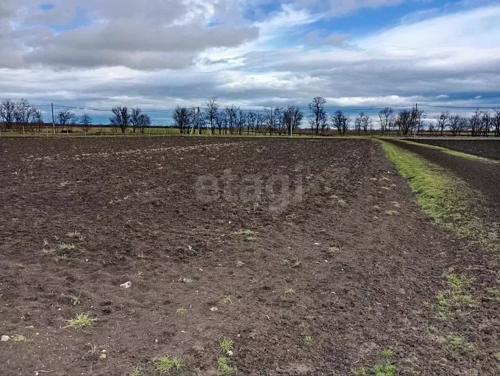 Участок в Крым, Советский район, Пушкинское с/пос, с. Маковка ул. ... - Фото 1