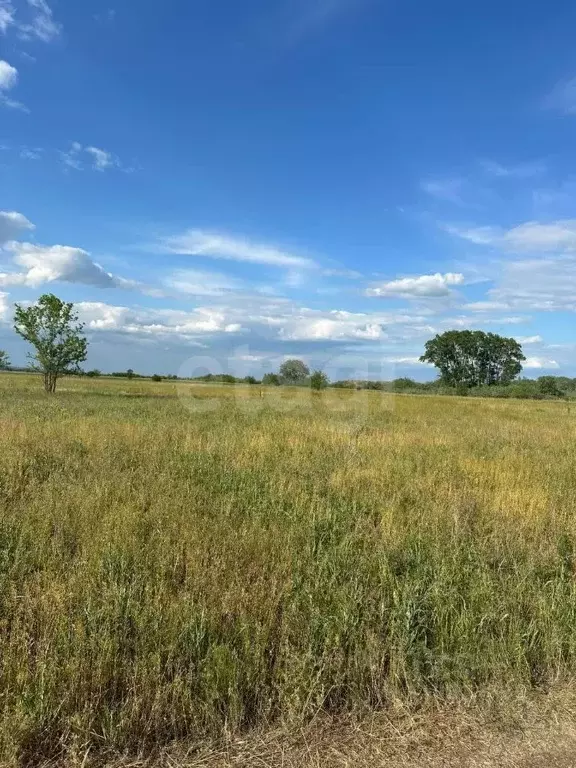 Участок в Ростовская область, Новочеркасск № 2 АО Магнит садовое ... - Фото 1