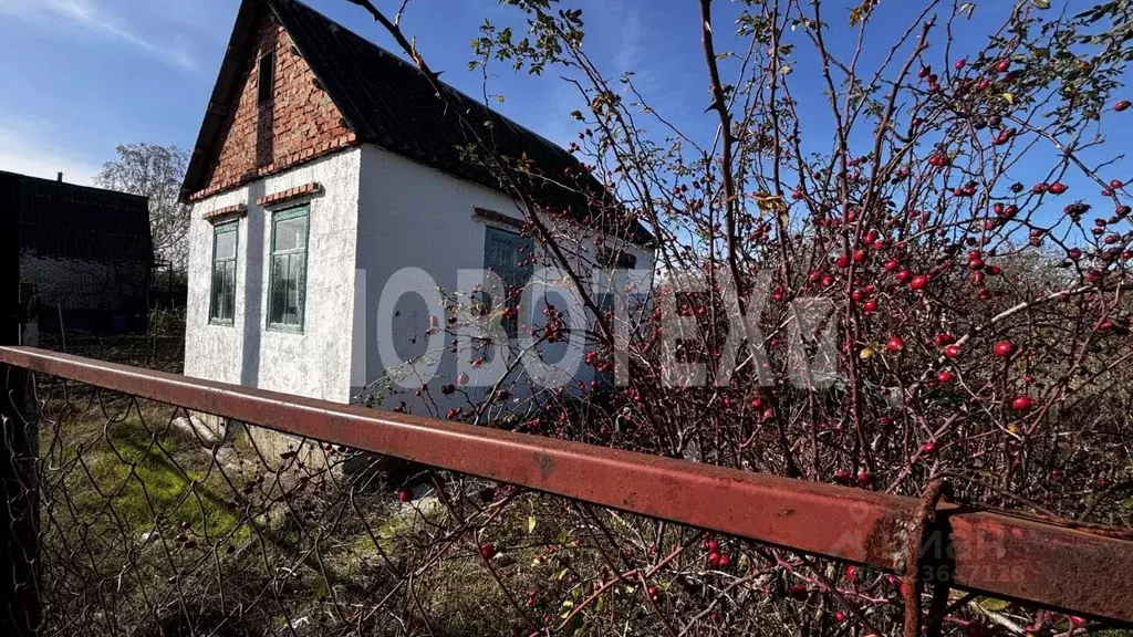 Дом в Краснодарский край, Крымский район, Киевское с/пос, Дружба СТ ... - Фото 2