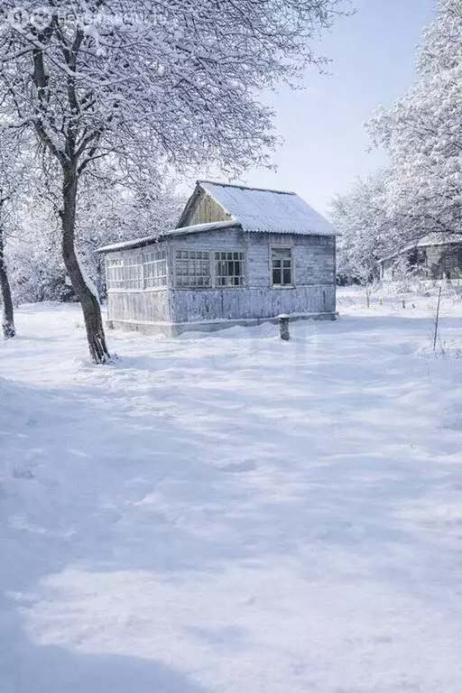 Дом в Брянск, садоводческое общество Мичуринец (35.7 м) - Фото 1