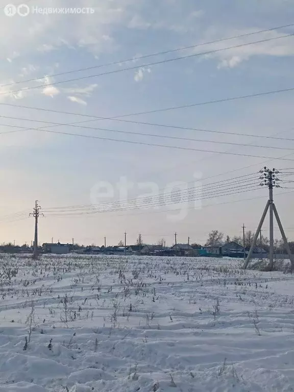 Участок в Амурская область, Благовещенский муниципальный округ, село ... - Фото 1