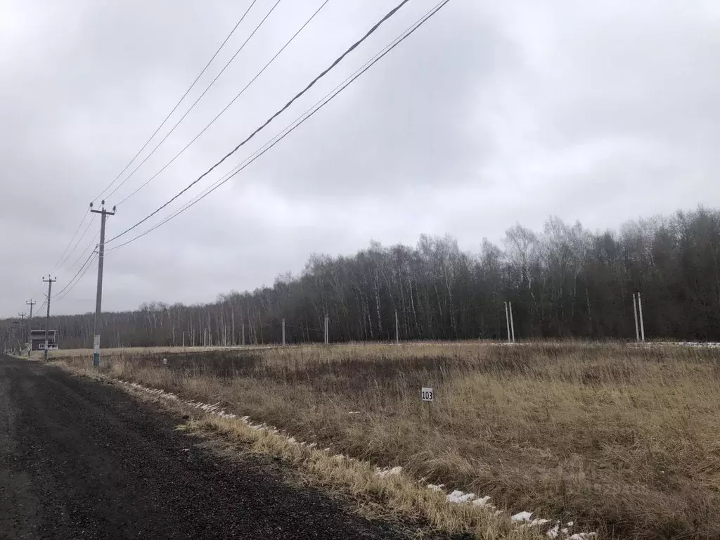 Участок в Московская область, Раменский муниципальный округ, д. ... - Фото 0