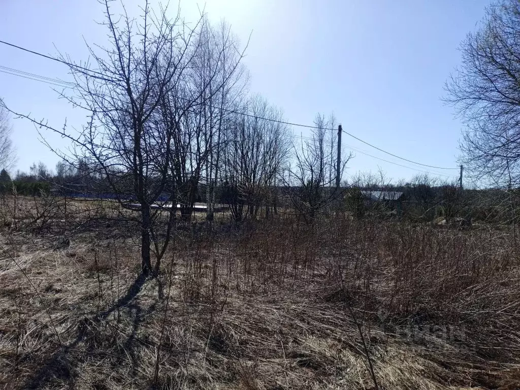 Участок в Владимирская область, Александровский район, Следневское ... - Фото 1