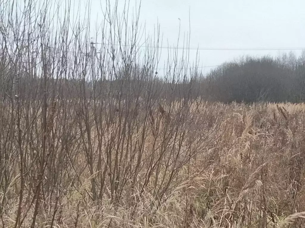 Участок в Московская область, Раменский муниципальный округ, д. ... - Фото 2