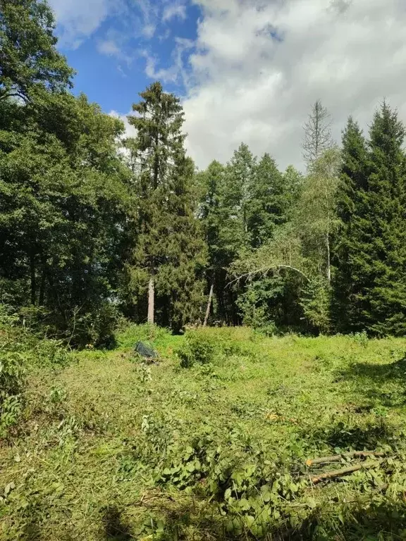 Участок в Московская область, Наро-Фоминский городской округ, Фианит ... - Фото 1