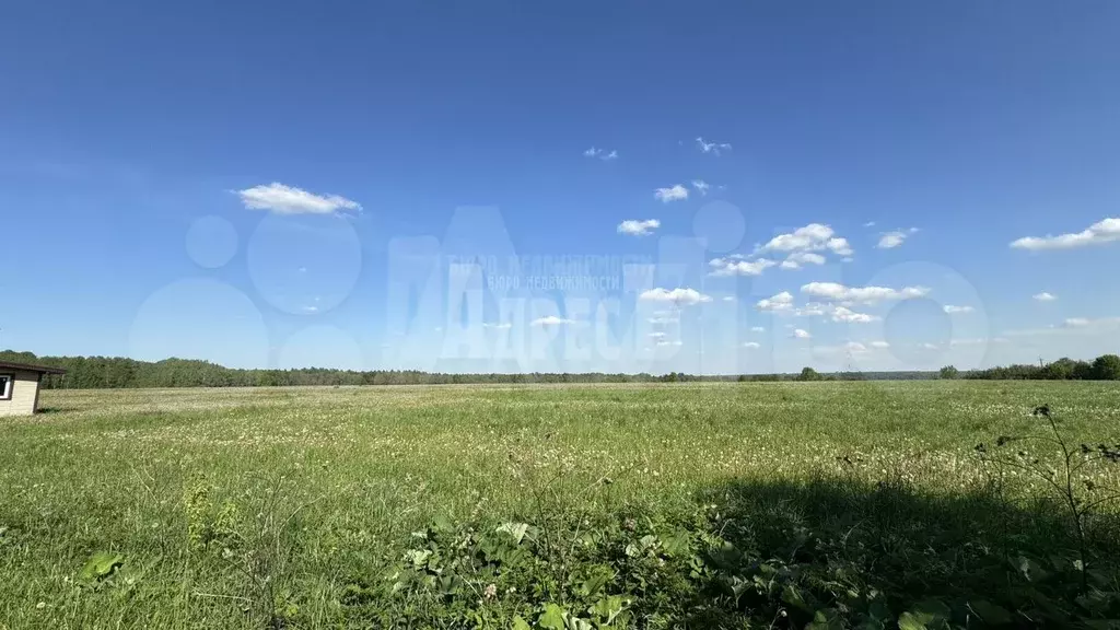 Участок 11 сот. (ИЖС) - Фото 0