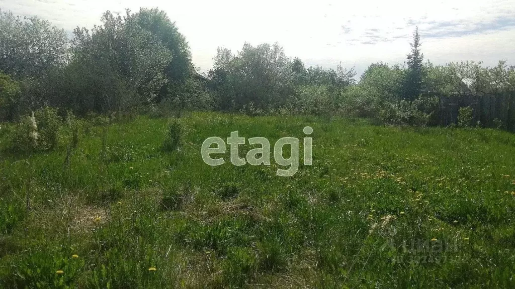 Участок в Вологодская область, Ручеек-91 СТ  (10.53 сот.) - Фото 0