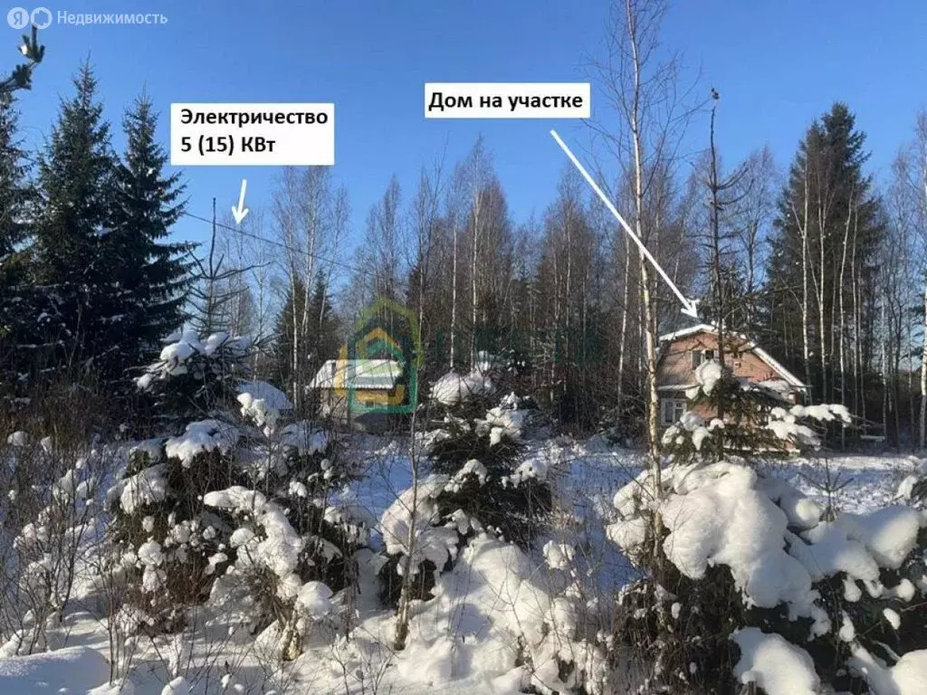 Участок в Выборгский район, Рощинское городское поселение (12 м) - Фото 2