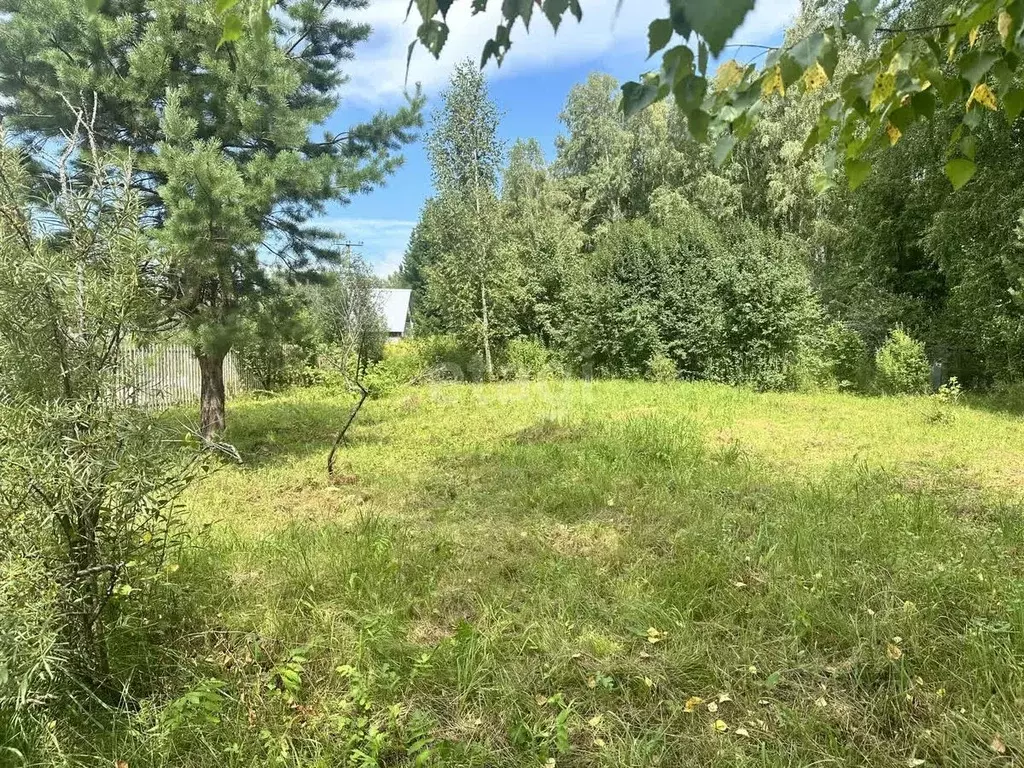 Участок в Новосибирская область, Искитимский район, Шибковский ... - Фото 1