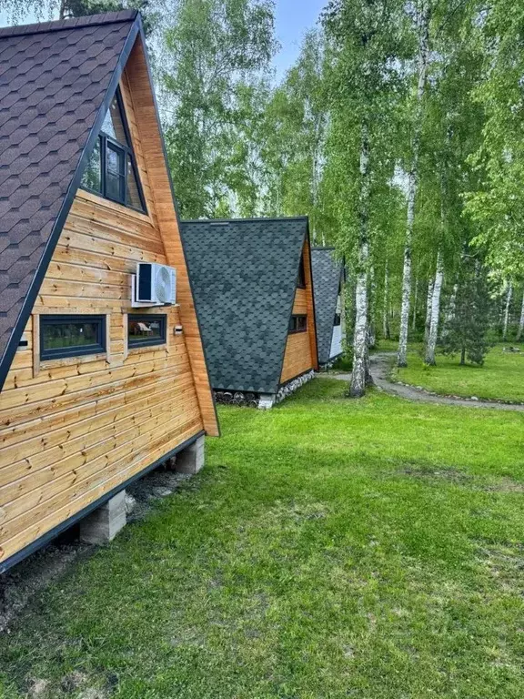 Дом в Алтай, Майминский район, с. Манжерок  (50 м) - Фото 2