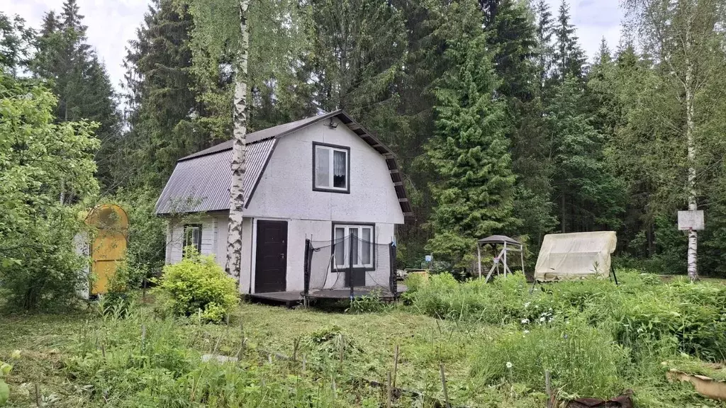 Дом в Новгородская область, Маловишерский район, Бургинское с/пос, д. ... - Фото 1
