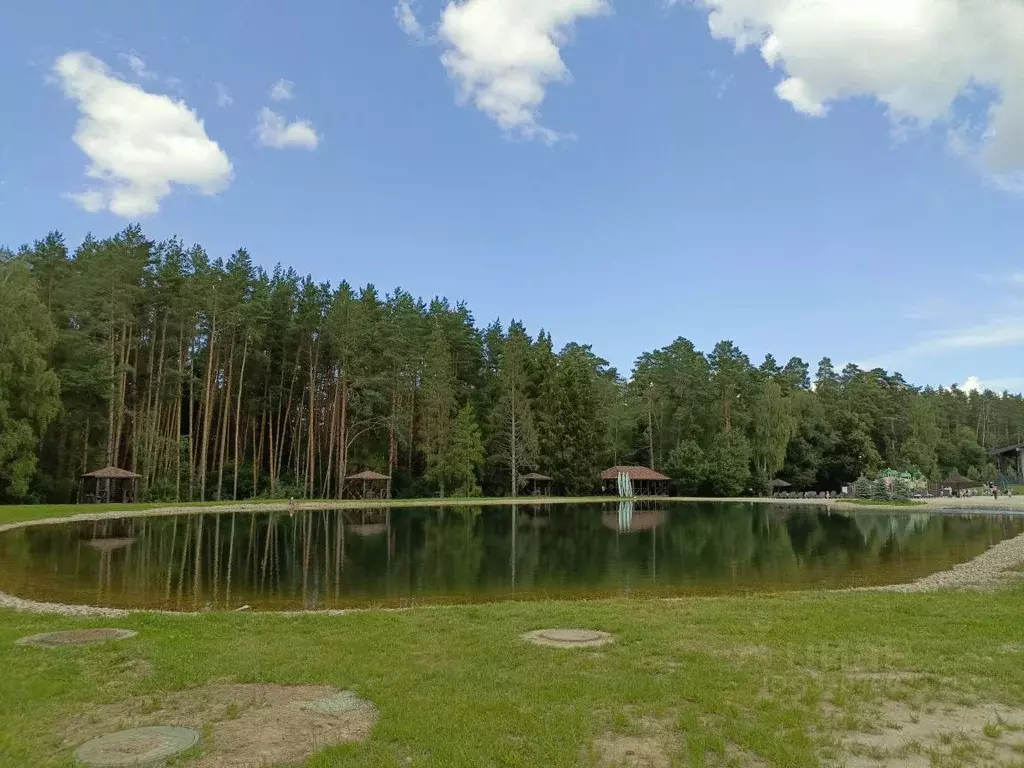 Дом в Московская область, Ступино городской округ, Гринвуд ТСН ул. ... - Фото 2