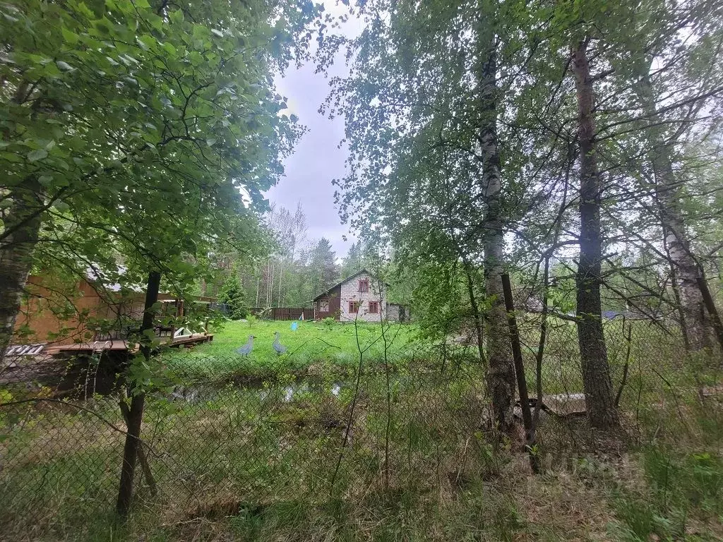 Участок в Ленинградская область, Ломоносовский район, Лебяженское ... - Фото 2