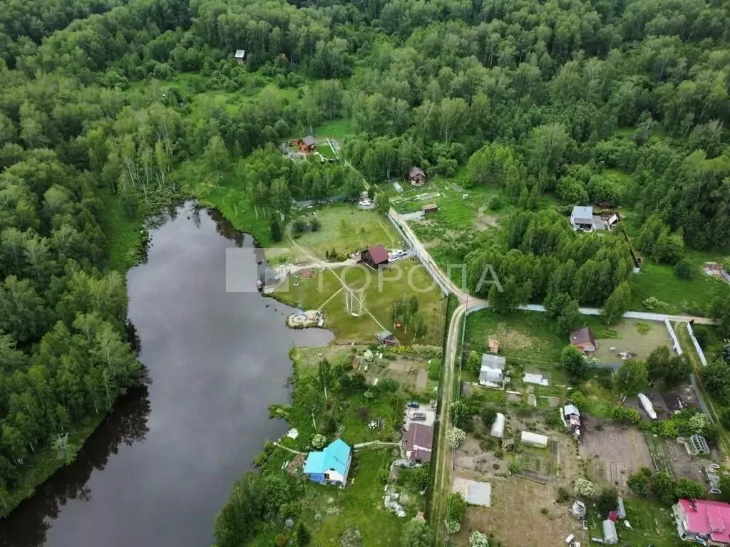 Участок в Новосибирская область, Искитимский район, Морозовский ... - Фото 1