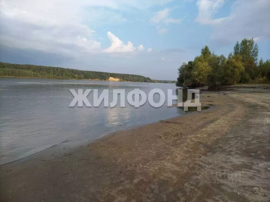 Участок в Новосибирская область, Колыванский район, Инструментальщик-2 ... - Фото 1