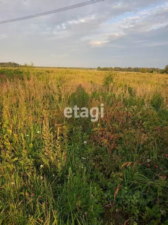 участок в ленинградская область, лужское городское поселение, д. . - Фото 1