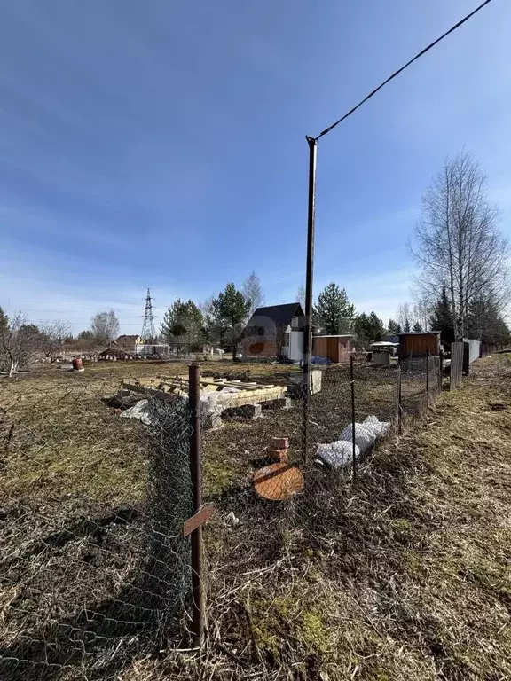 Участок в Вологодская область, д. Бурцево ул. Зеленая (5.3 сот.) - Фото 1