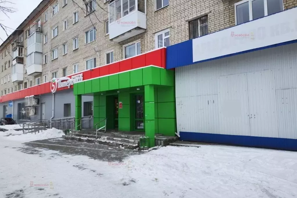 Производственное помещение в Свердловская область, Екатеринбург пер. ... - Фото 1