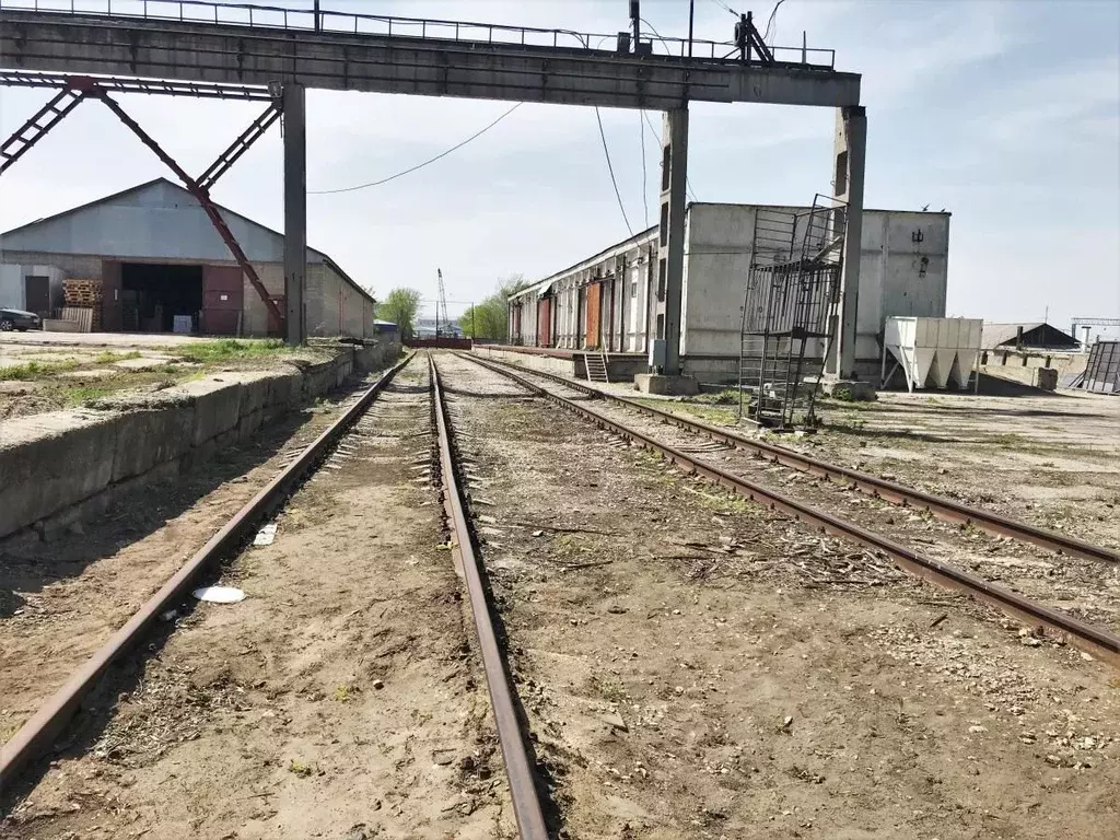 Производственное помещение в Саратовская область, пос. Зоринский ул. ... - Фото 0