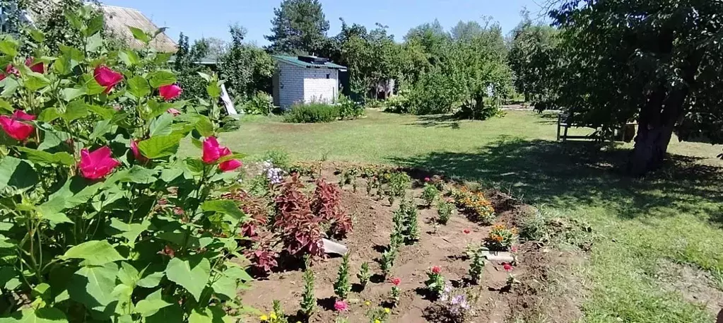 Дом в Волгоградская область, Среднеахтубинский район, Краснослободск ... - Фото 1
