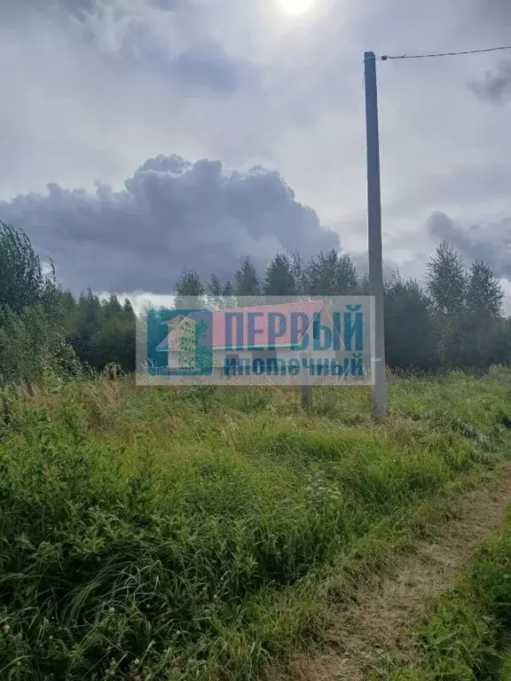 Участок в Марий Эл, Йошкар-Ола городской округ, д. Шоя-Кузнецово ул. ... - Фото 2