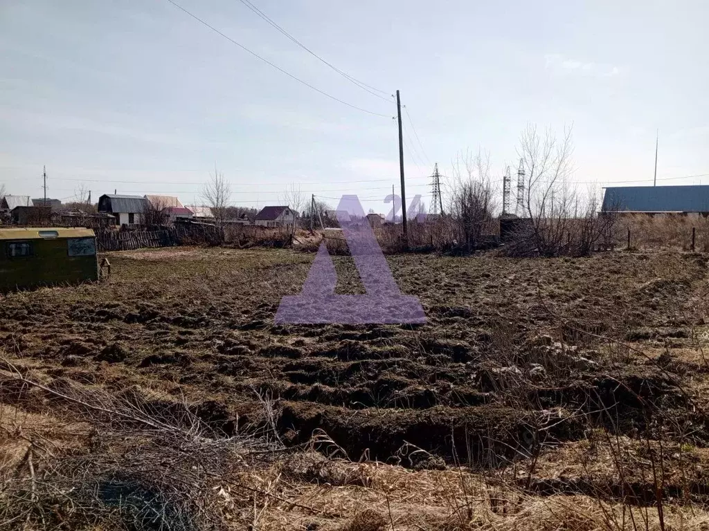 Участок в Алтайский край, Первомайский район, с. Санниково, Овощевод ... - Фото 0
