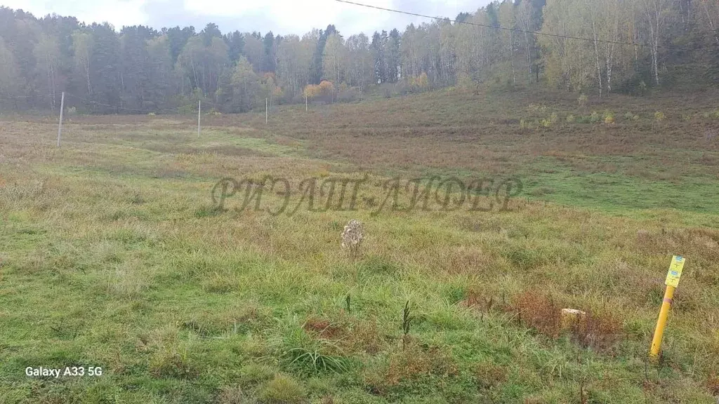 Участок в Алтай, Майминский район, с. Бирюля Центральная ул. (20.0 ... - Фото 1