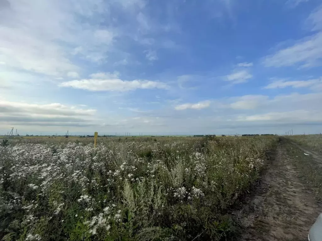 Участок в Татарстан, Тукаевский район, с. Биклянь ул. Заречная (15.0 ... - Фото 1