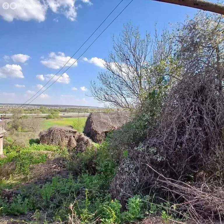Участок в село Беловское, улица Буханова (15 м) - Фото 2