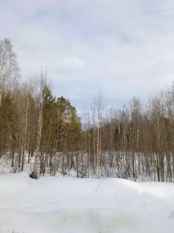 Участок в Свердловская область, Ревда муниципальный округ, с. Кунгурка ... - Фото 1