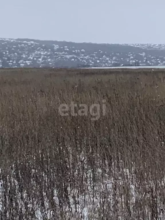 Участок в Белгородская область, Белгородский район, Головинское с/пос, ... - Фото 0