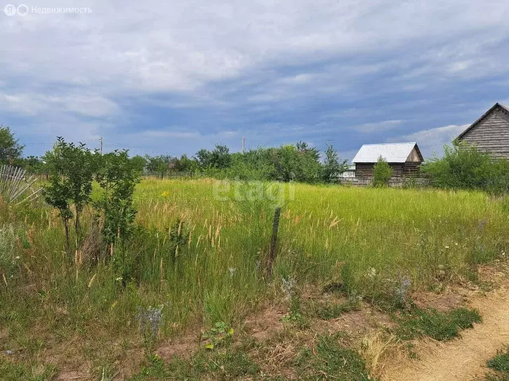 Участок в городское поселение Новосемейкино, дачный массив Сокский, ... - Фото 1