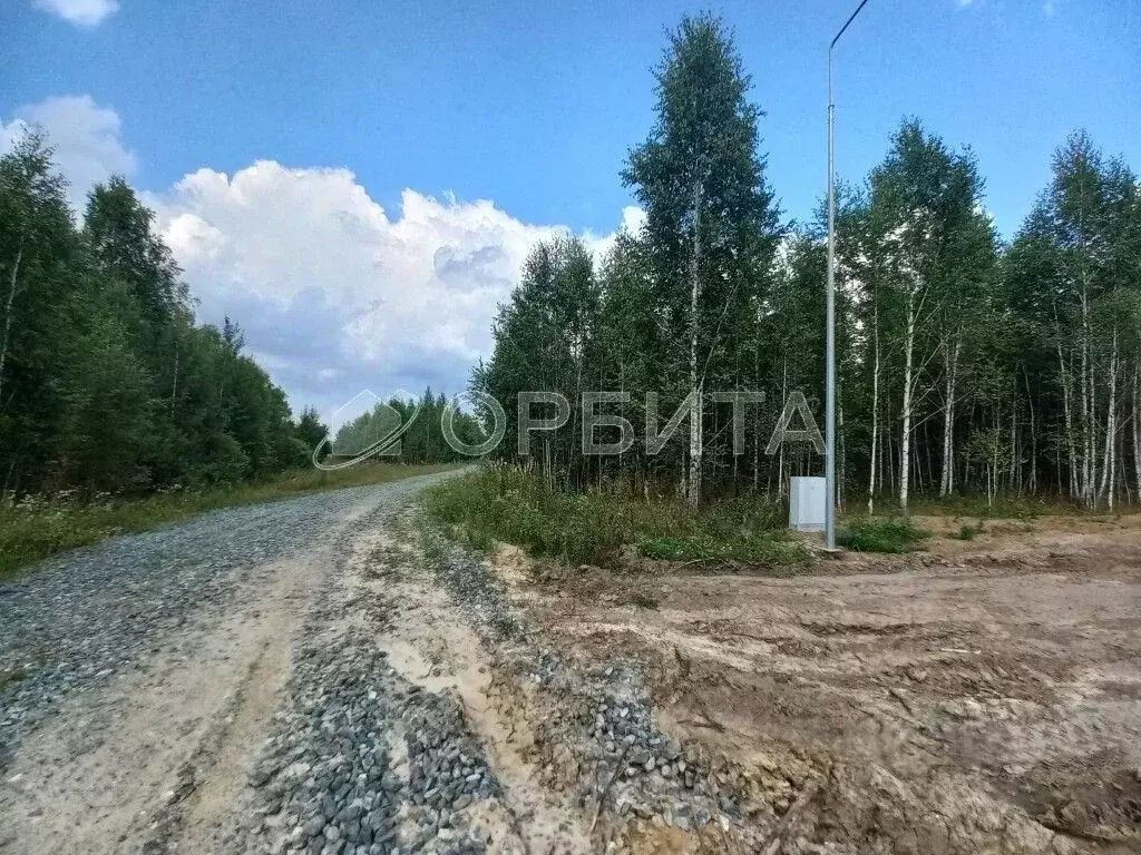 Участок в Тюменская область, Тюменский муниципальный округ, Каменское ... - Фото 1