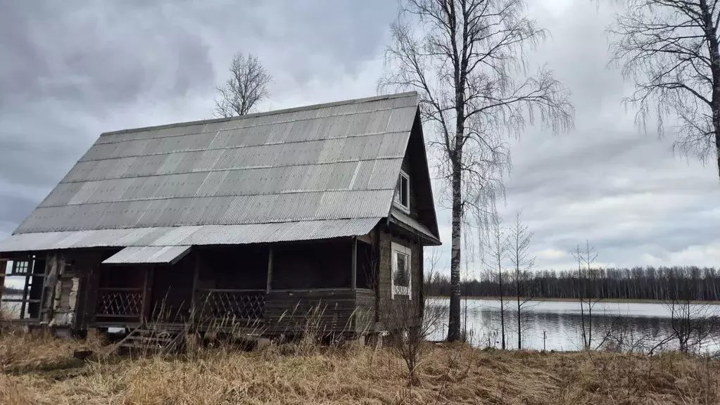 Участок в Ленинградская область, Лужский район, Осьминское с/пос  ... - Фото 2